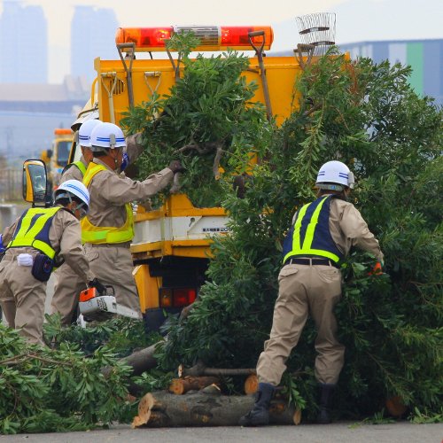 Crew in helmets and hi-vis vests clearing a fallen tree from a road beside a work truck