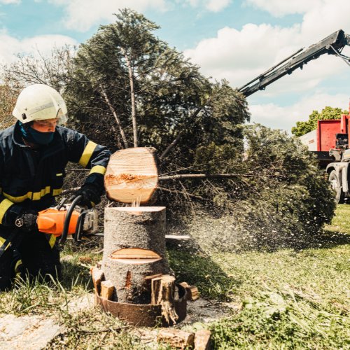Worker in a helmet cutting a tree trunk into sections with a chainsaw, with a crane truck behind