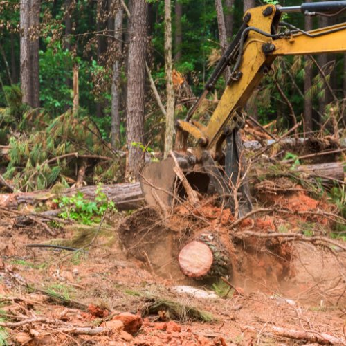 Excavator pulling a tree stump and its roots out of cleared ground